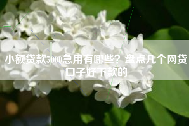 小额贷款5000急用有哪些？盘点几个网贷口子好下款的