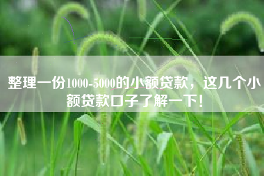 整理一份1000-5000的小额贷款，这几个小额贷款口子了解一下！