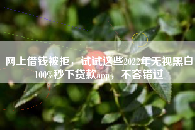 网上借钱被拒，试试这些2022年无视黑白100%秒下贷款app，不容错过
