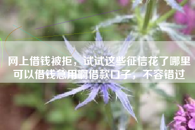 网上借钱被拒，试试这些征信花了哪里可以借钱急用啊借款口子，不容错过