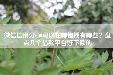 微信信用分600可以在哪借钱有哪些？盘点几个借款平台好下款的