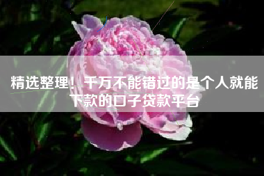 精选整理！千万不能错过的是个人就能下款的口子贷款平台