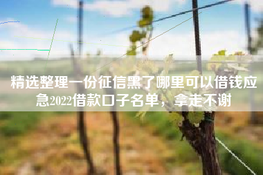 精选整理一份征信黑了哪里可以借钱应急2022借款口子名单，拿走不谢