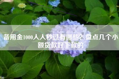 备用金1000人人秒过有哪些？盘点几个小额贷款好下款的