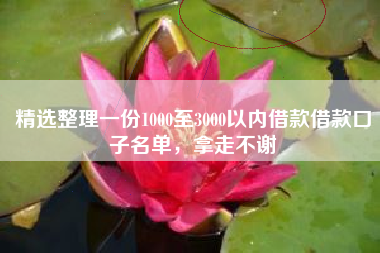 精选整理一份1000至3000以内借款借款口子名单，拿走不谢
