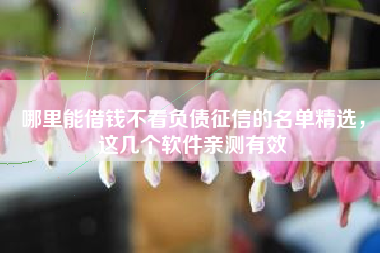 哪里能借钱不看负债征信的名单精选，这几个软件亲测有效
