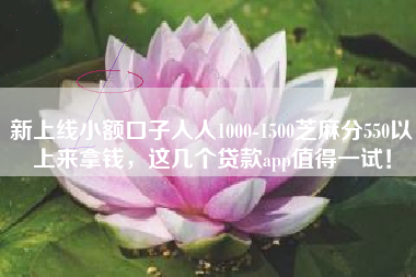 新上线小额口子人人1000-1500芝麻分550以上来拿钱，这几个贷款app值得一试！