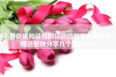 不看负债和征信的贷款借款平台有哪些？精选整理分享几个贷款平台