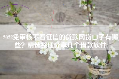 2022免审核不看征信的贷款网贷口子有哪些？精选整理分享几个借款软件