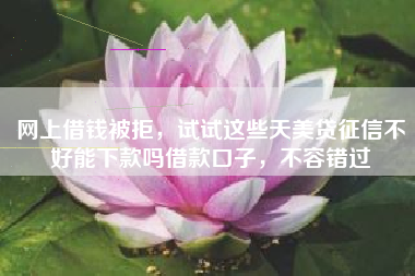 网上借钱被拒，试试这些天美贷征信不好能下款吗借款口子，不容错过