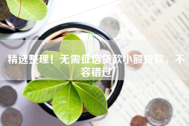 精选整理！无需征信贷款小额贷款，不容错过