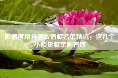 微信信用分怎么借款名单精选，这几个小额贷款亲测有效