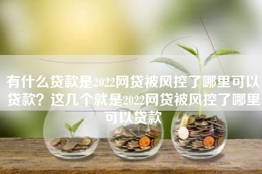 有什么贷款是2022网贷被风控了哪里可以贷款？这几个就是2022网贷被风控了哪里可以贷款