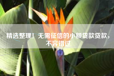 精选整理！无需征信的小额贷款贷款，不容错过