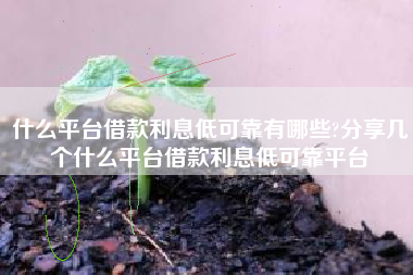 什么平台借款利息低可靠有哪些?分享几个什么平台借款利息低可靠平台
