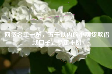 网贷名单一览，五千以内的小额贷款借款口子，拿走不谢