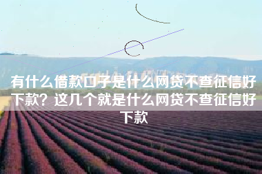 有什么借款口子是什么网贷不查征信好下款？这几个就是什么网贷不查征信好下款