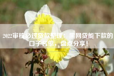 2022审核必过贷款整理：黑网贷能下款的口子名单，盘点分享！