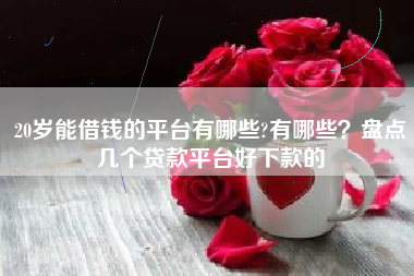 20岁能借钱的平台有哪些?有哪些？盘点几个贷款平台好下款的