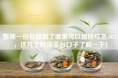 整理一份征信黑了哪里可以借钱应急2022，这几个网贷平台口子了解一下！