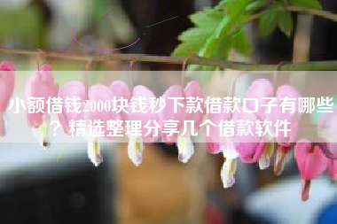 小额借钱2000块钱秒下款借款口子有哪些？精选整理分享几个借款软件