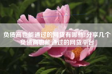 负债高也能通过的网贷有哪些?分享几个负债高也能通过的网贷平台