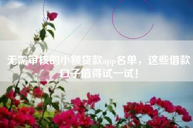 无需审核的小额贷款app名单，这些借款口子值得试一试！