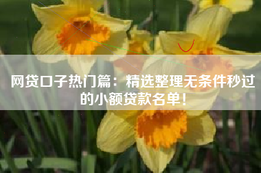 网贷口子热门篇：精选整理无条件秒过的小额贷款名单！