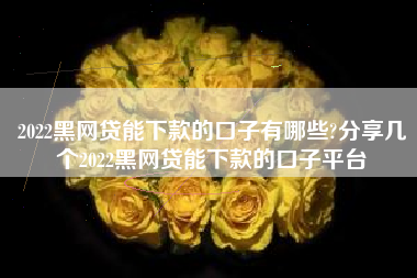 2022黑网贷能下款的口子有哪些?分享几个2022黑网贷能下款的口子平台