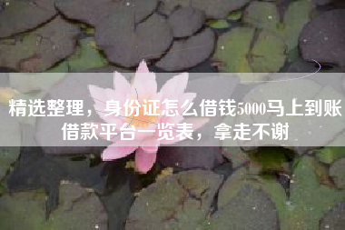 精选整理，身份证怎么借钱5000马上到账借款平台一览表，拿走不谢