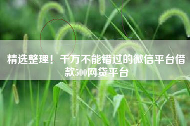 精选整理！千万不能错过的微信平台借款500网贷平台