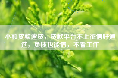 小额贷款速贷，贷款平台不上征信好通过，负债也能借，不看工作