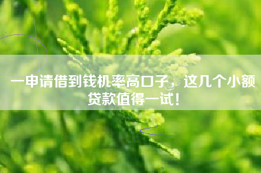 一申请借到钱机率高口子，这几个小额贷款值得一试！