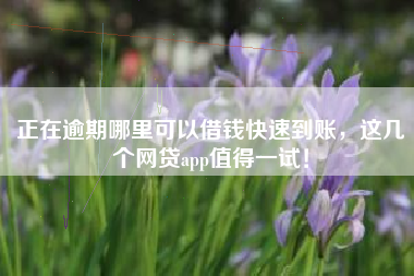 正在逾期哪里可以借钱快速到账，这几个网贷app值得一试！