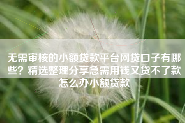 无需审核的小额贷款平台网贷口子有哪些？精选整理分享急需用钱又贷不了款怎么办小额贷款