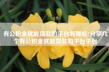 有公积金就能贷款的平台有哪些?分享几个有公积金就能贷款的平台平台