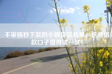 不审核秒下款的小额贷款名单，这些借款口子值得试一试！