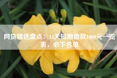 网贷精选盘点：14天短期借款1000元一览表，必下名单