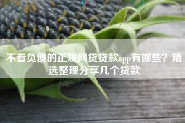 不看负债的正规网贷贷款app有哪些？精选整理分享几个贷款