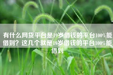 有什么网贷平台是19岁借钱的平台100%能借到？这几个就是19岁借钱的平台100%能借到
