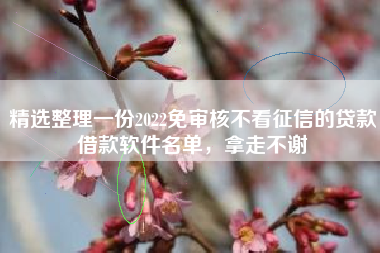 精选整理一份2022免审核不看征信的贷款借款软件名单，拿走不谢