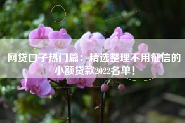 网贷口子热门篇：精选整理不用征信的小额贷款2022名单！