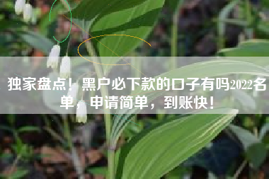 独家盘点！黑户必下款的口子有吗2022名单，申请简单，到账快！