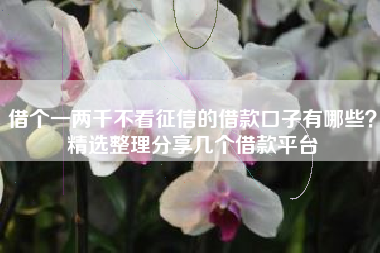 借个一两千不看征信的借款口子有哪些？精选整理分享几个借款平台