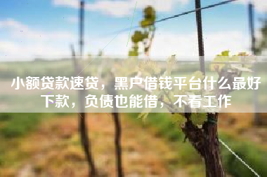 小额贷款速贷，黑户借钱平台什么最好下款，负债也能借，不看工作