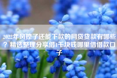 2022年风控了还能下款的网贷贷款有哪些？精选整理分享借1千块钱哪里借借款口子