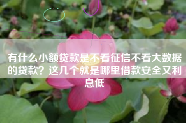 有什么小额贷款是不看征信不看大数据的贷款？这几个就是哪里借款安全又利息低