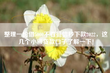 整理一份借5000不看征信秒下款2022，这几个小额贷款口子了解一下！
