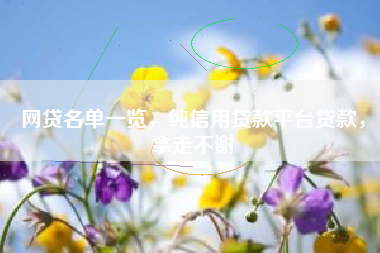 网贷名单一览，纯信用贷款平台贷款，拿走不谢