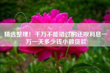 精选整理！千万不能错过的还呗利息一万一天多少钱小额贷款